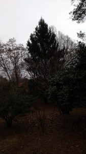 IMG_20150102_152839945