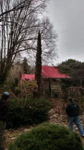 IMG_20150102_161016654_HDR